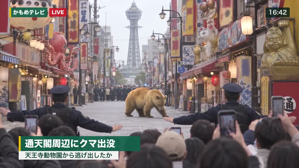 テロップ入り
