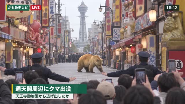 カット2完成