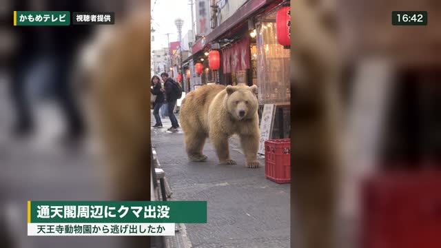カット3完成