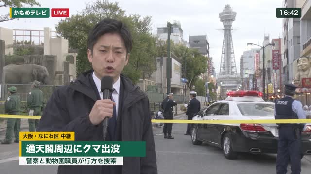 カット6完成